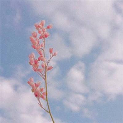 ng体育com企业版