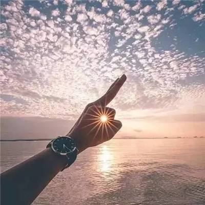 bg视讯登录