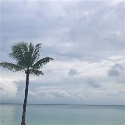 ng体育com企业版