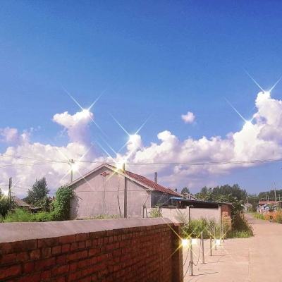 tk体育官网下载
