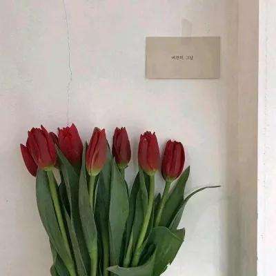 昇的源体育平台网友评论头像