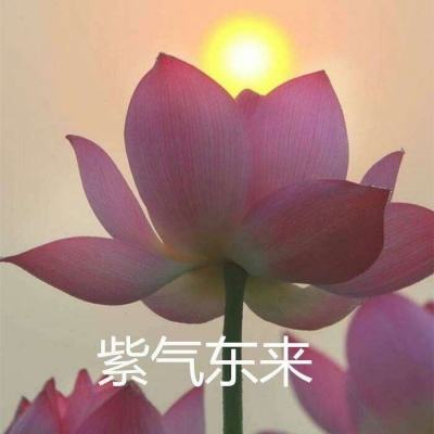 ng体育com企业版